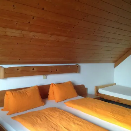 宾馆 Alpengasthof Hoiswirt 3*