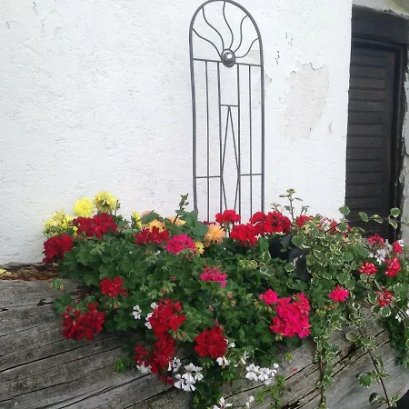 宾馆 Alpengasthof Hoiswirt