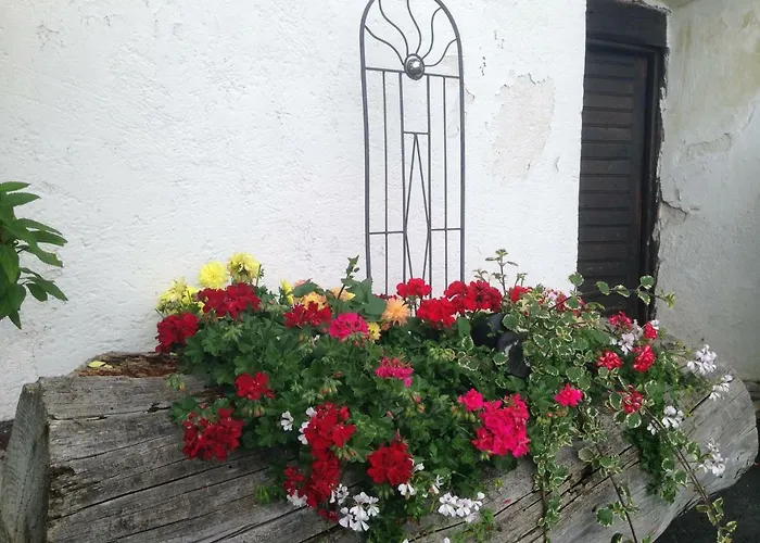 Värdshus Alpengasthof Hoiswirt